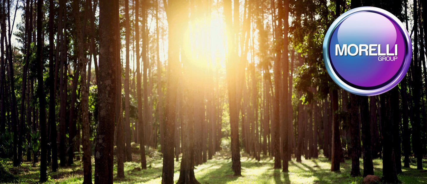 Morelli First Distributor to Achieve Carbon Neutrality