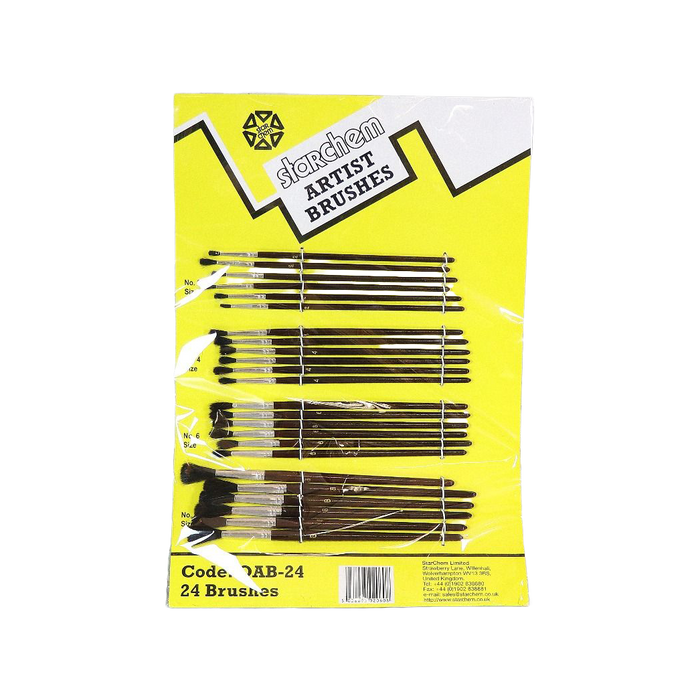 StarChem Set of 24 Artist Paint Brushes